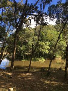 un grupo de árboles frente a un cuerpo de agua en Chácara em São José dos Pinhais próximo a Audi, en São José dos Pinhais