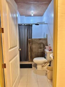 a bathroom with a toilet and a shower at Bahai ni Jhane in Calatagan