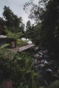 un río con un puente de madera en un bosque en Glamping tent in Pelaga Eco Park en Patjung