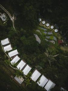 an overhead view of a group of buildings and a river at Glamping tent in Pelaga Eco Park in Patjung