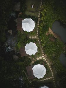 - une vue sur le parc avec des parasols blancs dans l'établissement Glamping tent in Pelaga Eco Park, à Patjung