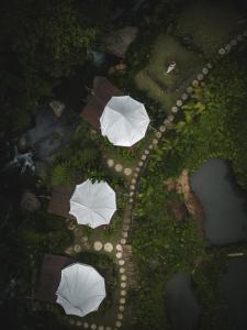 Patjung的住宿－Glamping tent in Pelaga Eco Park，水边公园的三把白伞