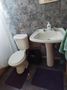 y baño con aseo y lavamanos. en Cabaña Loremar Pastahue, en Castro