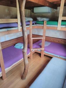 a room with two bunk beds with a tree at Rustic Resort Isumi / Vacation STAY 5447 in Isumi