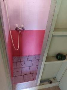 Rustic Resort Isumi / Vacation STAY 5447 في Isumi: إطلالة علوية على حمام به جدران وردية وبيضاء