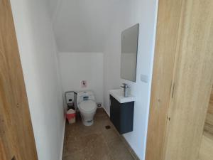 a small bathroom with a toilet and a mirror at Villa en Puerto Plata in San Felipe de Puerto Plata
