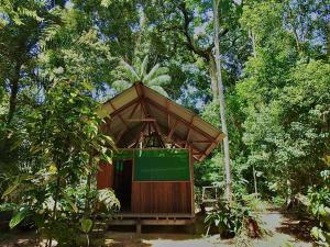 mały budynek w środku lasu w obiekcie shiringacamp w mieście Tambopata