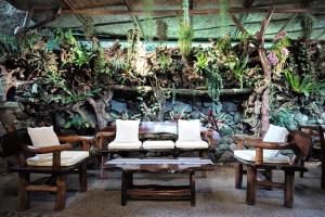eine Gruppe von Stühlen mit Pflanzen an der Wand in der Unterkunft Banahaw Circle Nature Retreat 