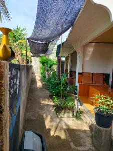 Zahrada ubytování Aladdin Homestay