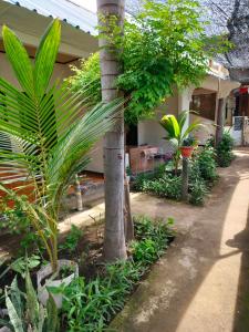 Zahrada ubytování Aladdin Homestay