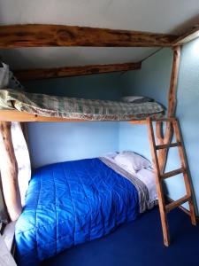 a bedroom with a bunk bed with a ladder at Cabañas atardeceres. in Valdivia