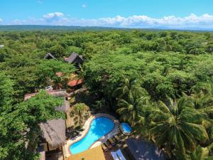 Bazén v ubytování Cabarete Ecolodge Maravilla Beachfront,Encuentro, Surf, Kite nebo v jeho okolí