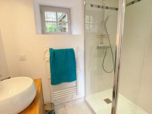a bathroom with a shower and a toilet and a sink at Gîte tout confort avec grand jardin, terrasse ombragée, animaux acceptés, proche de Loches - FR-1-381-560 in Ferrière-Larçon +18 photos