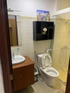 胡志明市的住宿－The Everich Infinity 290 ADV，一间带卫生间和水槽的浴室