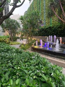 胡志明市的住宿－The Everich Infinity 290 ADV，长凳旁公园里的喷泉