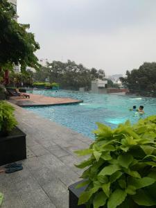 胡志明市的住宿－The Everich Infinity 290 ADV，游泳池,有人在水中游泳