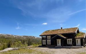 an old black house with a grass roof at Awesome Home In Eggedal With 4 Bedrooms in Eggedal