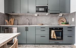 uma cozinha com electrodomésticos de aço inoxidável e um balcão em Beautiful Apartment In Funsdalen With Wi-fi em Funäsdalen