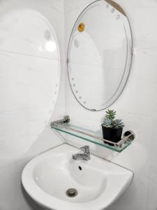 La salle de bains est pourvue d'un lavabo, d'un miroir et d'une plante en pot. dans l'établissement D-Dorm Home, à Hô-Chi-Minh-Ville