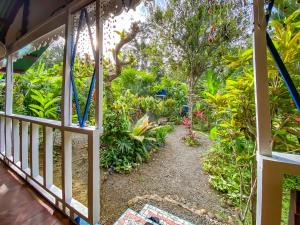 a view of a garden from the porch of a house at Hotel Casitas Mar y Luz in Puerto Viejo