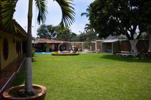 un patio con una palmera y una casa en Casas México 1 en San Antonio