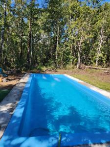 une piscine avec de l'eau bleue et des arbres en arrière-plan dans l'établissement Cabañas Rústicas Pucon, à Pucón