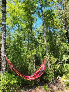 a hammock hanging from a tree in a forest at Cabañas Rústicas Pucon in Pucón