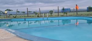 a blue swimming pool with palm trees in the background at Mambo Game View in Elmenteita
