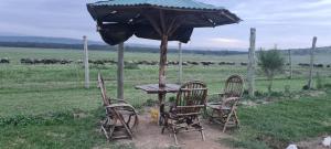 a table and chairs under an umbrella in a field at Mambo Game View in Elmenteita