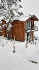 a group of christmas trees in the snow in front of a house at Arte Jermuk Lux Cottage in Jermuk