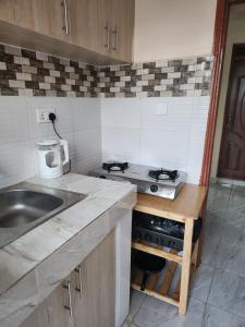 a small kitchen with a sink and a stove at Muthiga Springs Apartment in Kikuyu