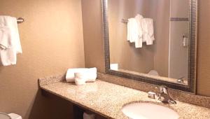 Baðherbergi á Holiday Inn Express Philadelphia Penn's Landing by IHG