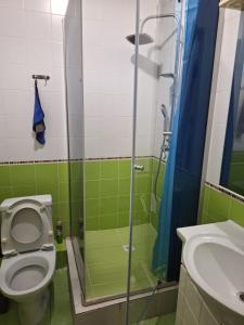 a bathroom with a shower and a toilet and a sink at ЖК Сункар in Almaty