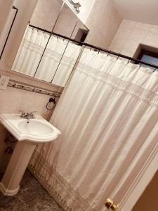 baño con lavabo y cortina de ducha en SUNNYside one bedroom apt, en Woodside