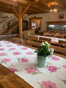 Φωτογραφία από το άλμπουμ του Agroturystyka Agro-Podkówka σε Marciszów