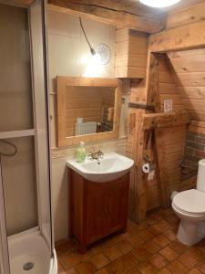a bathroom with a sink and a toilet at Agroturystyka Agro-Podkówka in Marciszów