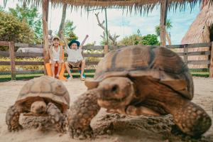 dwa żółwie i mała dziewczynka i dziecko w obiekcie Thavorn Palm Beach Resort Phuket w mieście Karon Beach