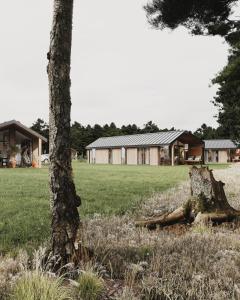 Fotografie z fotogalerie ubytování Resort Wilsumer Berge v destinaci Wilsum