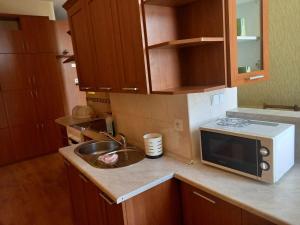 eine kleine Küche mit einer Spüle und einer Mikrowelle in der Unterkunft Miltex in Torzym