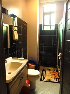 La salle de bains est pourvue d'un lavabo, de toilettes et d'une douche. dans l'établissement Serene Homes 05, à Kampala