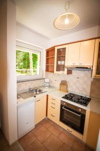 a kitchen with a sink and a stove top oven at Apartment Gracia 1 in Baška