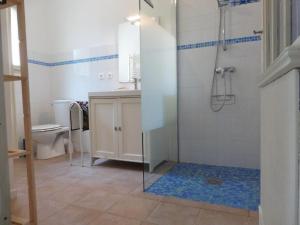 ein Bad mit einer Dusche und einem WC in der Unterkunft la petite maison in Espiet