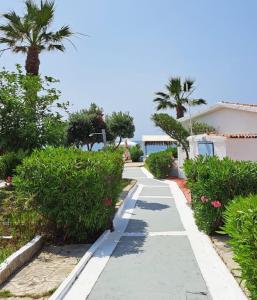 a walkway with palm trees and a building at Kefalonia Beach Hotel & Bungalows in Lixouri