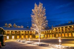 Un árbol de Navidad delante de un edificio por la noche en Arctic River Lodge, en Tärendö