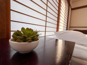 eine Pflanze in einer Schüssel auf einem Tisch vor einem Fenster in der Unterkunft Hondori Inn in Hiroshima