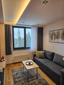 uma sala de estar com um sofá e uma mesa em Apart Hotel Zlatni Javor, Apartment 410 em Jahorina