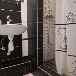 uma casa de banho em preto e branco com um lavatório e um chuveiro em Apartment on Tytova 8 em Dnipro
