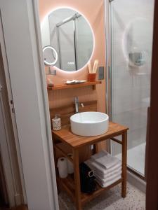 een badkamer met een wastafel en een spiegel bij Passage de l'Horloge in Auxerre