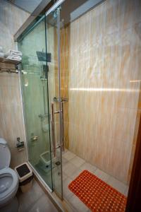 杜尚別的住宿－VATAN DUSHANBE HOTEL，一间带玻璃淋浴和卫生间的浴室