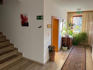 Fotografie z fotogalerie ubytování Pension Alpina v destinaci Obsteig